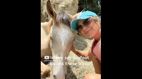 They say Bigfoot roams these woods. I'm on high alert. #bigfoot #momlife #horse #fyp #horses