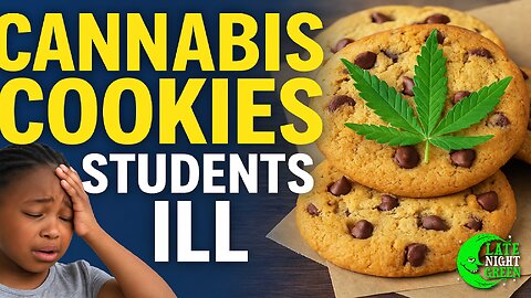 🍪 Cannabis Cookies in School? Chicago Students Fall Ill – The Full Story