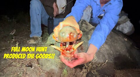 Full moon hunt produced the goods!!