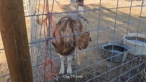 Graham Family Farm NW: 9:00 AM September 17 2025