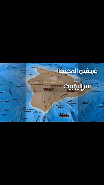 إليزابيث غريفين: سر المحيط العميق؟ ️