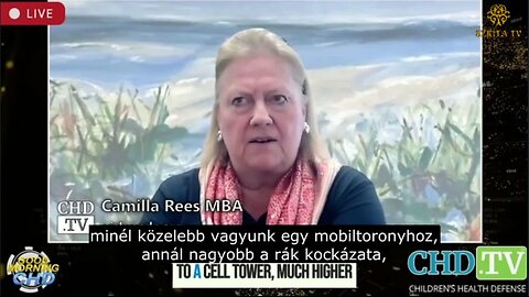 Elektromágneses sugárzás: "Ha nem foglalkozunk vele, végünk"