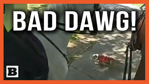 Bad Dawg! Police Horses in London Bit by Out of Control Dog
