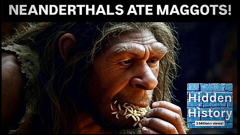 Neanderthals ‘ate maggots’, scientists reveal