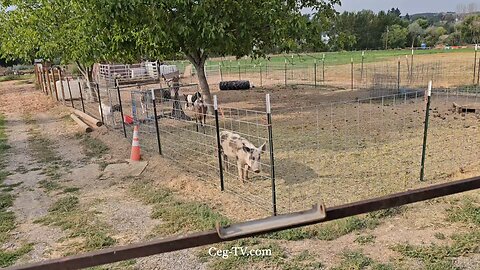 Graham Family Farm NW: 9:00 AM August 27 2025