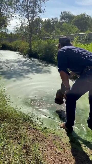 OK - Now You Try It - I Dare You lol