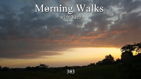 Morning Walks with Yizz 303
