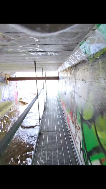 Urban art meets nature