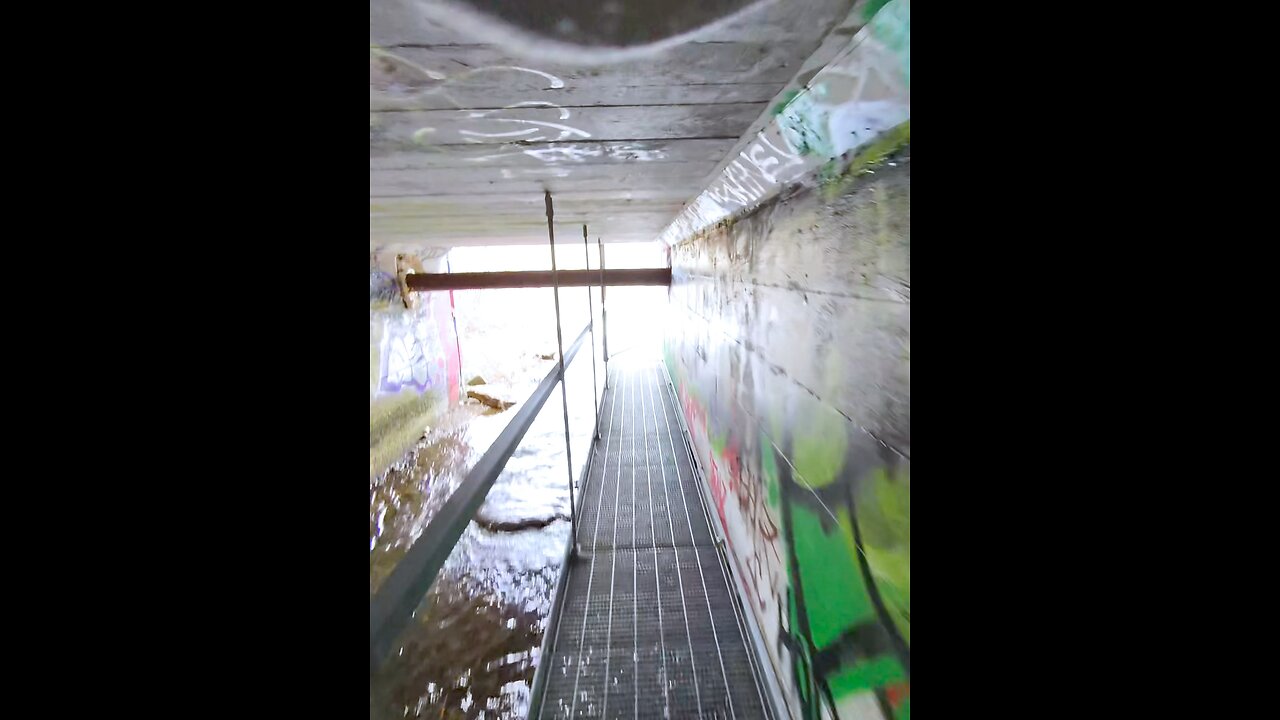 Urban art meets nature