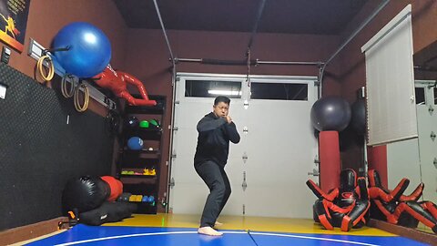 WTD Crescent Kick to Hook Kick sequential