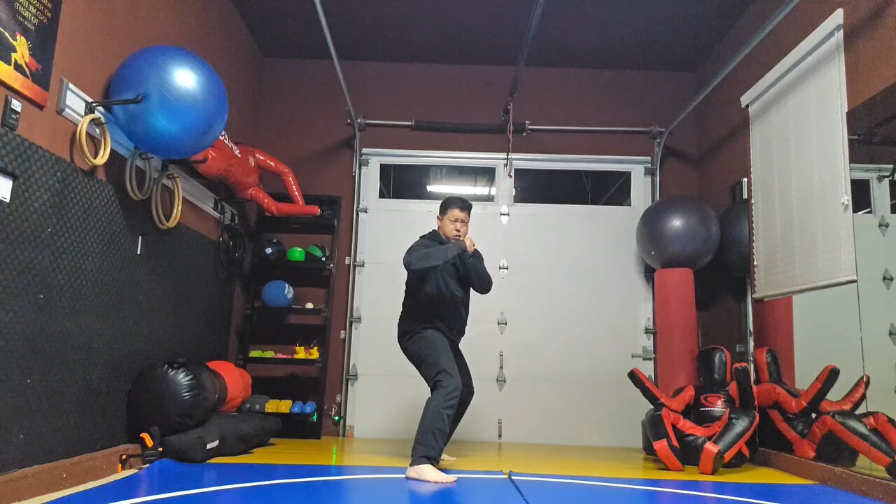 WTD Crescent Kick to Hook Kick sequential