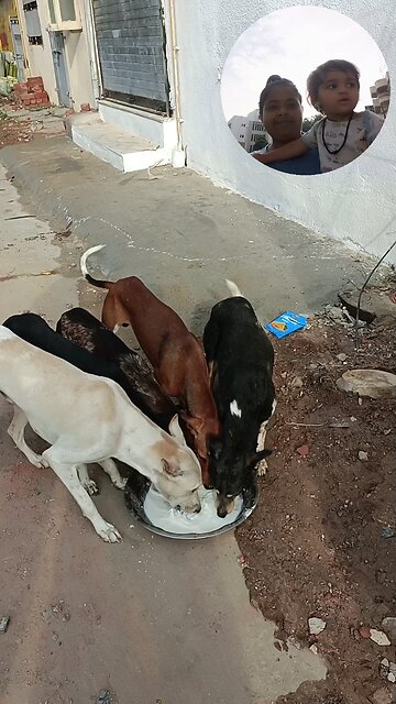 jivdaya mehsana youtube channel