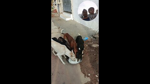 jivdaya mehsana youtube channel