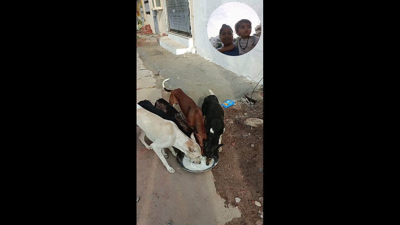 jivdaya mehsana youtube channel