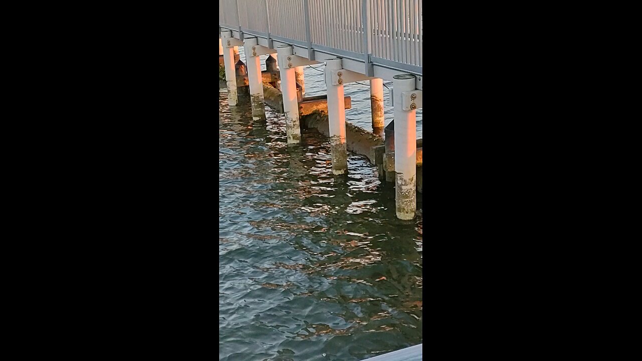 Long Beach Island, NJ Bay water