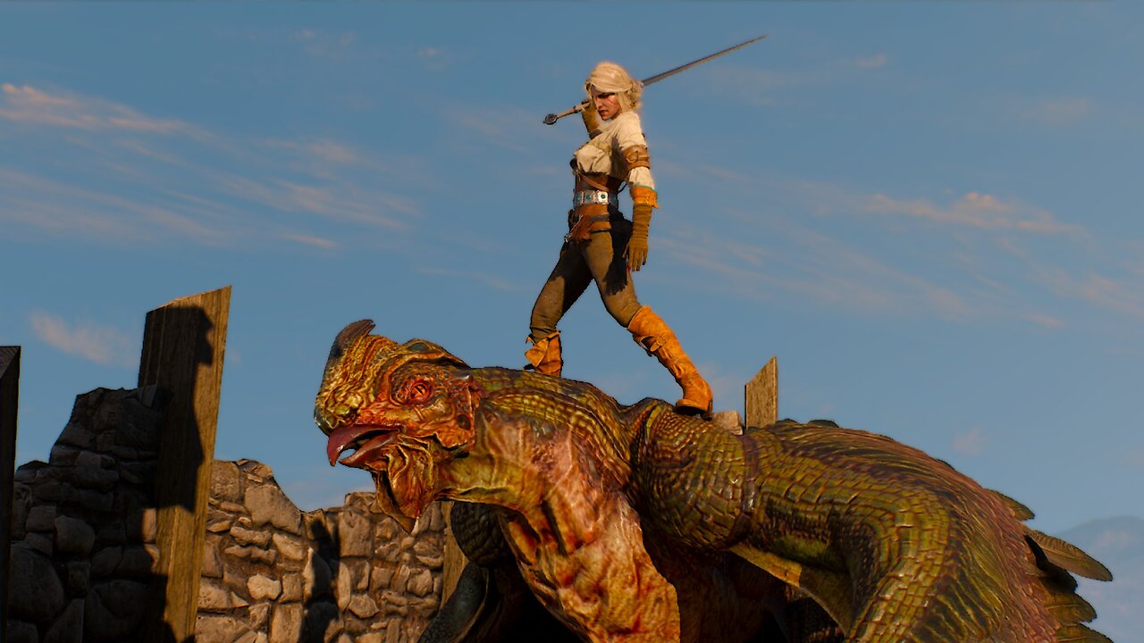 The Witcher 3, Just for Fun, pt.14