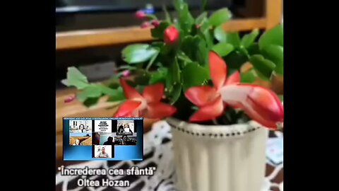 Oltea Hozan -Încrederea Cea Sfântă- #editor Valentin Trif #autor ‎⁨@beniaminpaparuz #poem #poezie