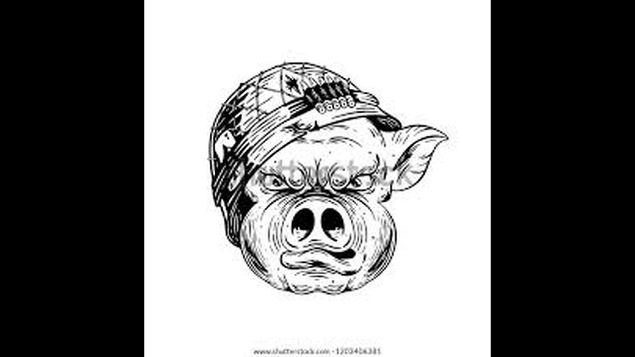 AMERICA IS BEING LED INTO THE BAY OF PIGS 2.0