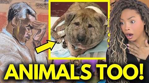 Diddy Trial BOMBSHELL: Diddy Took His Rage Out on Helpless Dog! Kid Cudi Testimony SHOCKS COURTROOM