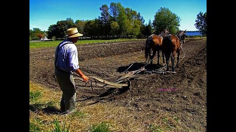 20260126 THE HAND TO THE PLOW - MINISTER DEREK HALLETT - SOUND THE TRUMPET MINISTRIES