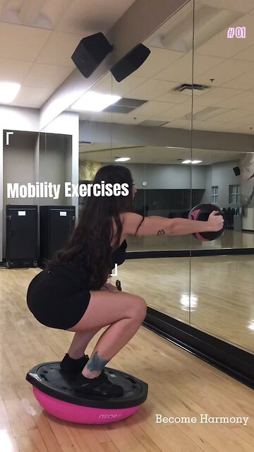 Mobility Exercises