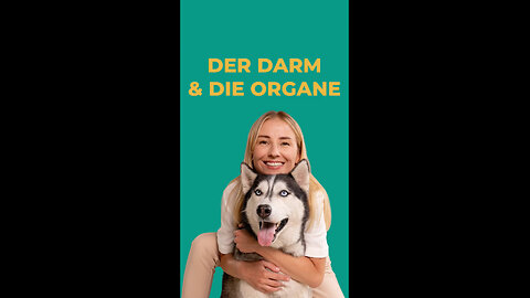 Darm und Organe beim Hund - Achtung! Fehldiagnose!