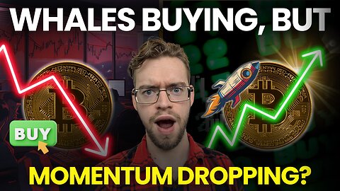 BTC Buy Signal + Whale Buying = Next Move $117K?