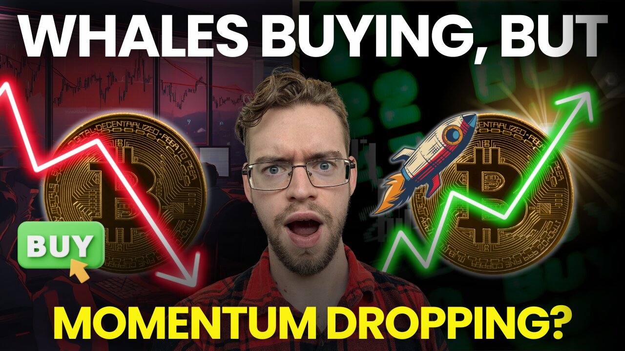 BTC Buy Signal + Whale Buying = Next Move $117K?