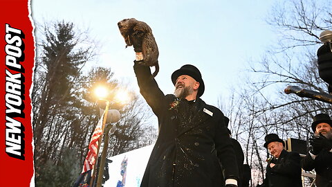Punxsutawney Phil sees his shadow on Groundhog Day, revealing six more weeks of winter