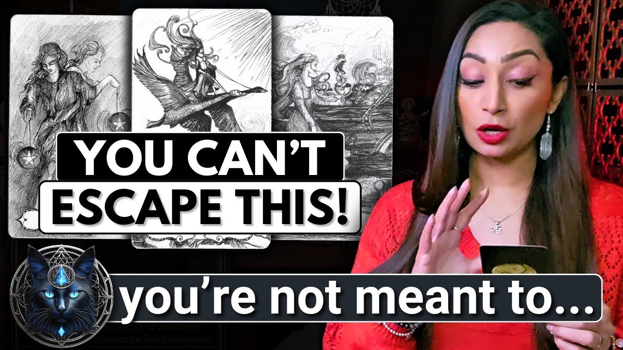 You Thought You Could Run From This ~ Think Again! ❤︎ ❤︎ ❤︎ ☾₊‧⁺˖
