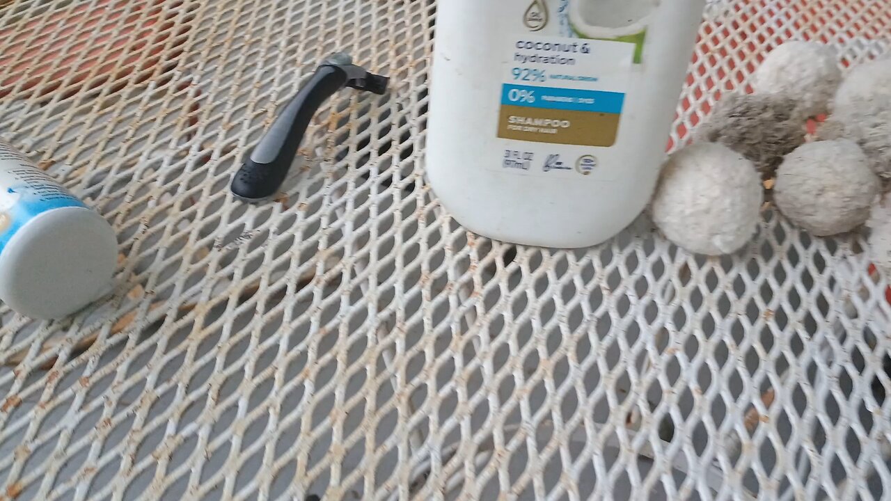 about what pool cleaner to buy