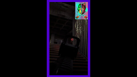 One Shot Sends Suspect Cartwheeling