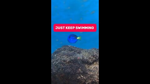 Just keep swimming