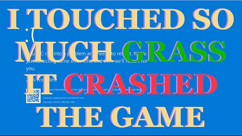 I Touched So Much Grass the Game Crashed