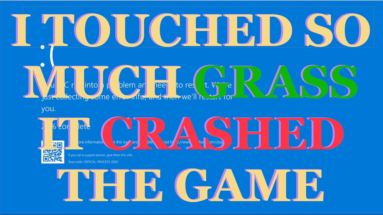 I Touched So Much Grass the Game Crashed