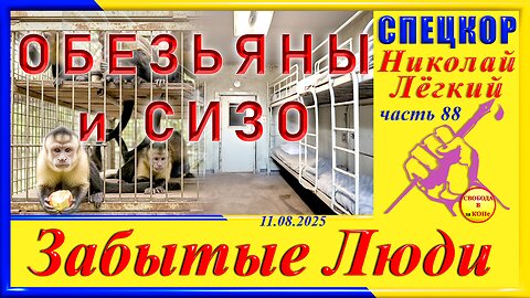 ОБЕЗЬЯНЫ и СИЗО-ч.88 Николай Легкий