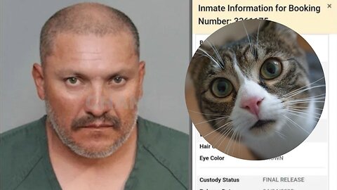 Protesters ATTACK House Over Serial Cat Killer