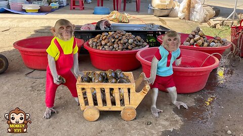 YiYi and YinYin go to the market to sell snails to buy vegetables to cook