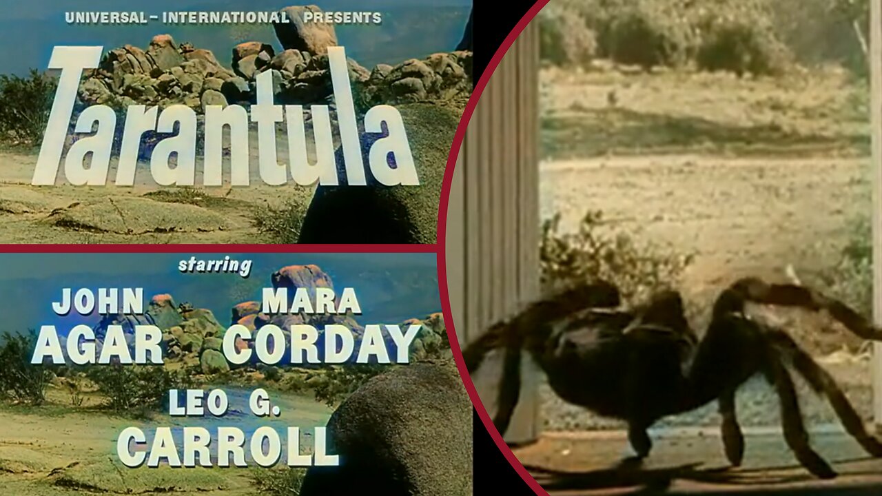 Wee Blue Coo Film Poster 'Tarantula' – Grusel-Sci-Fi-Kunstwerk 30x40 Cm