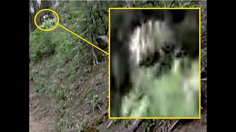 The Sasquatch Are Nephilim Descendants with Travis Carpenter