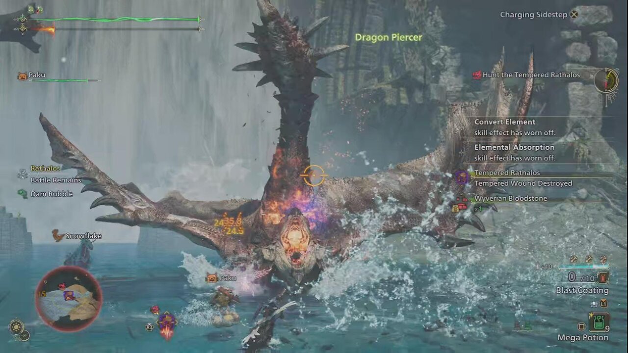 My vow your tail.