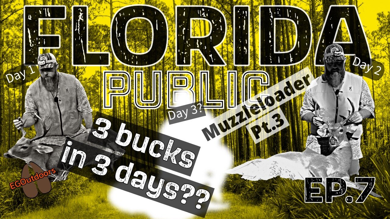 EP.7 Florida Public Land Hunting 2023-24 "3 Bucks in 3 Days From Same Tree?"