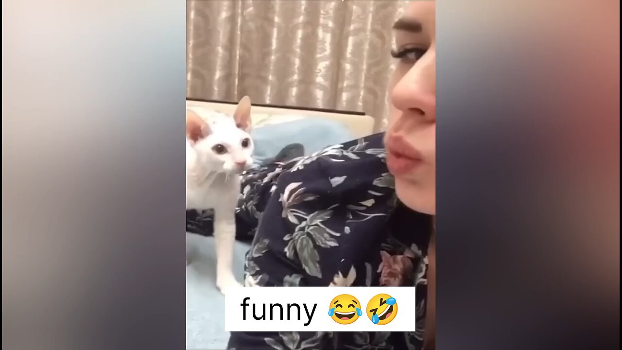 funny cat moment in 2025 😂