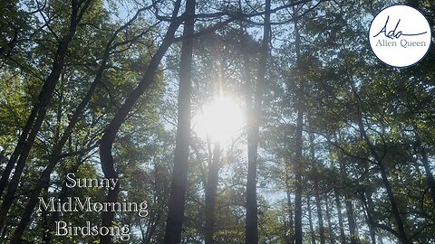 Ada Alien Queen • Bird Songs • Take #00008 • Sunny Midmorning Birdsong