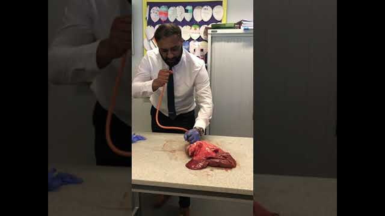 Lung inflation in😱😱 Science Lesson #science #teacher #biology