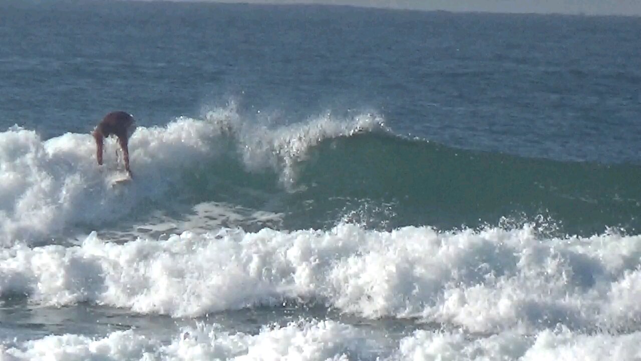 Surf