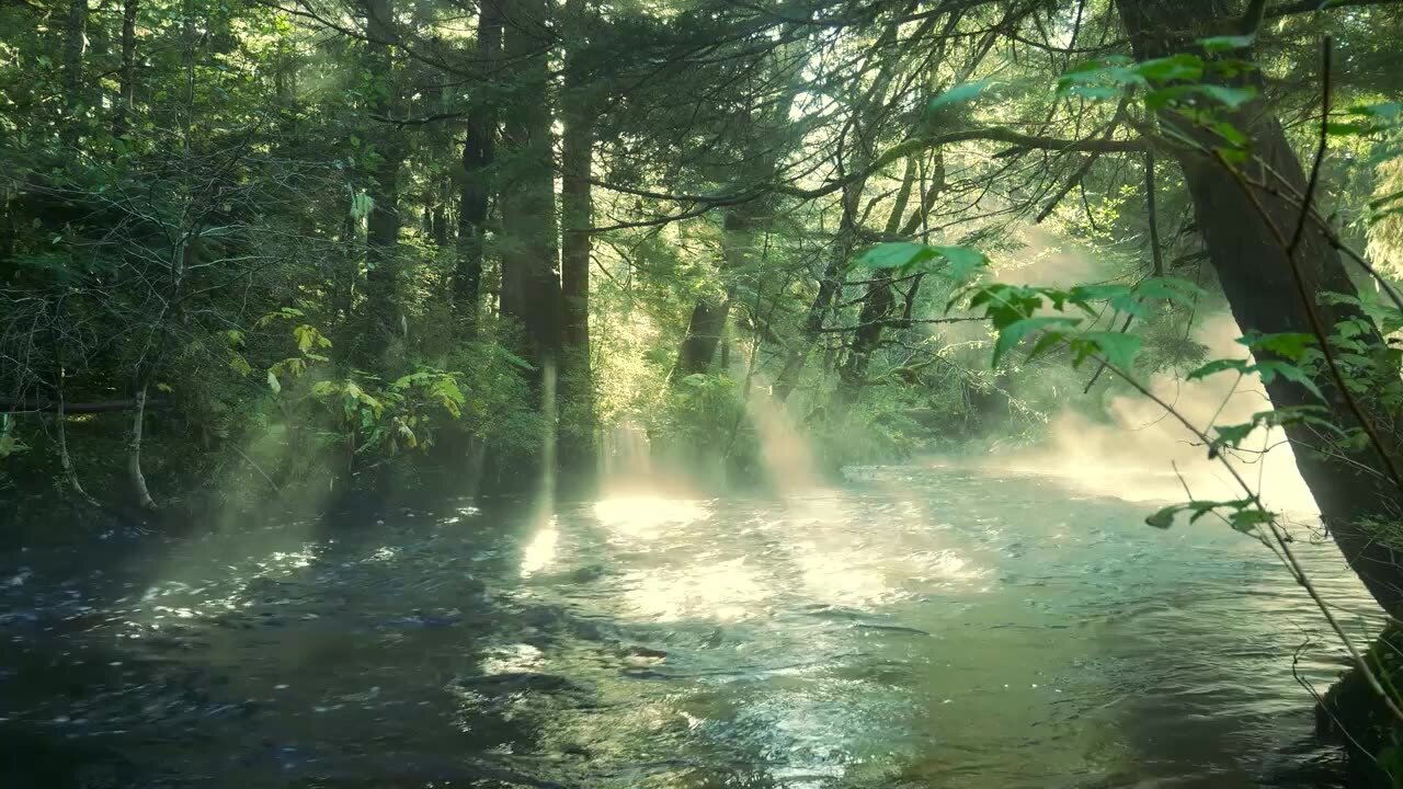 BNN (Brandenburg News Network) 4/11/2025 Off the Grid - Dr David, Jeanne, Shawn, Ralph and Karen