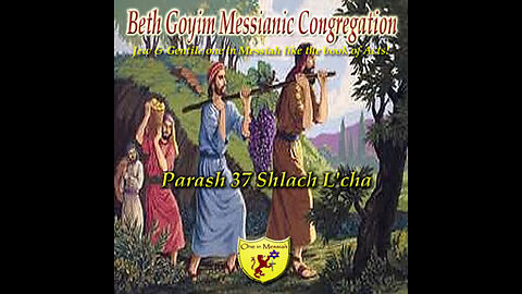BGMCTV P087 Parash 37 Shlach L'cha B’Midbar/ Numbers 13:1-15:41