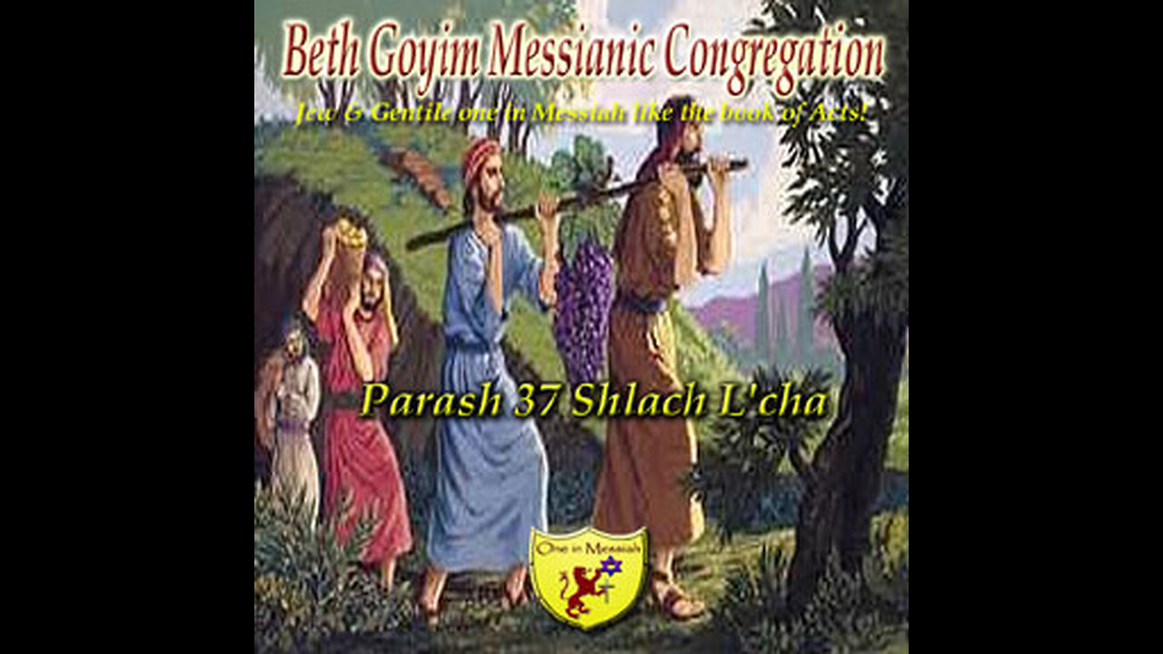 BGMCTV P087 Parash 37 Shlach L'cha B’Midbar/ Numbers 13:1-15:41