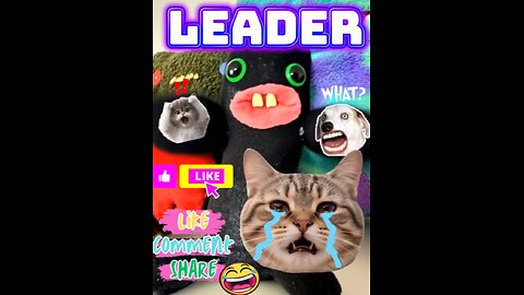The Leader😎